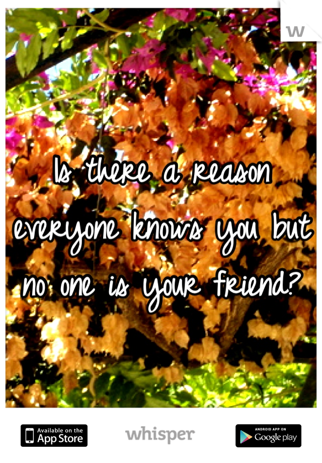 Is there a reason everyone knows you but no one is your friend?