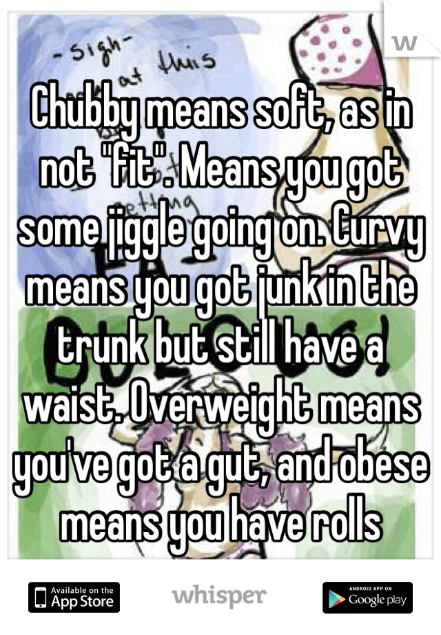 Chubby means soft, as in not "fit". Means you got some jiggle going on. Curvy means you got junk in the trunk but still have a waist. Overweight means you've got a gut, and obese means you have rolls