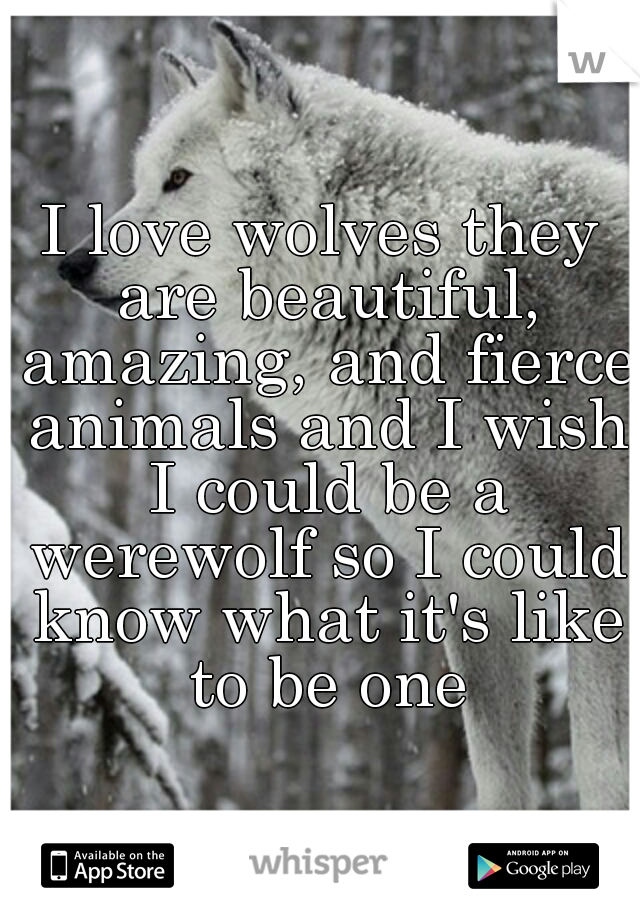 I love wolves they are beautiful, amazing, and fierce animals and I wish I could be a werewolf so I could know what it's like to be one