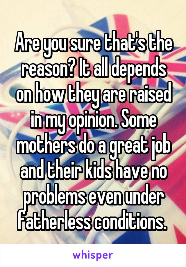 Are you sure that's the reason? It all depends on how they are raised in my opinion. Some mothers do a great job and their kids have no problems even under fatherless conditions. 