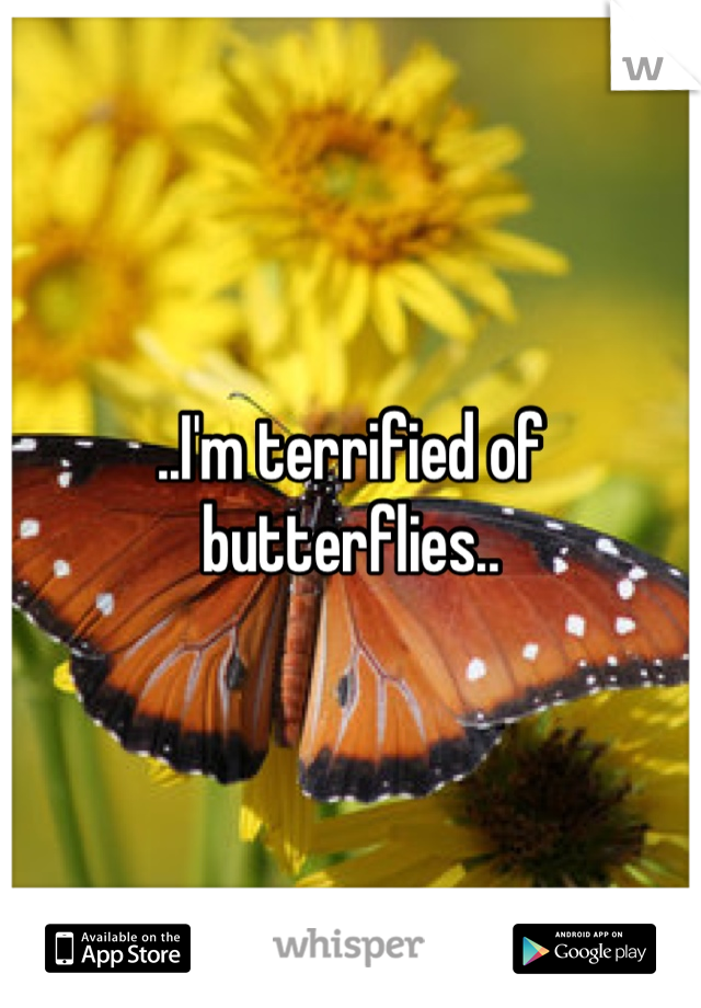 ..I'm terrified of butterflies..