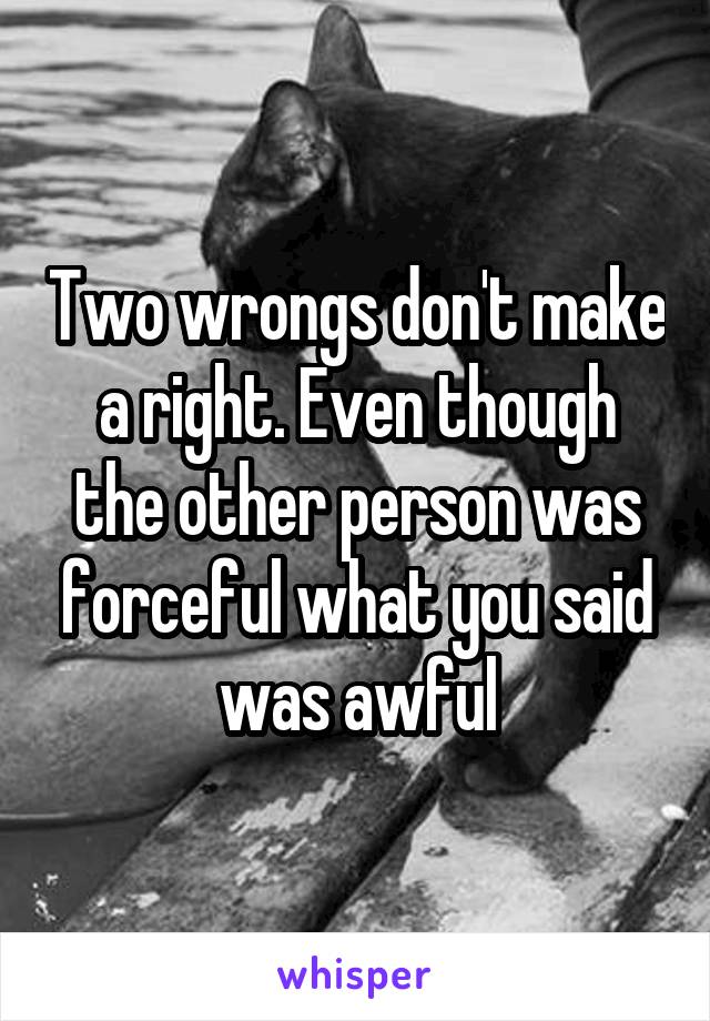 Two wrongs don't make a right. Even though the other person was forceful what you said was awful