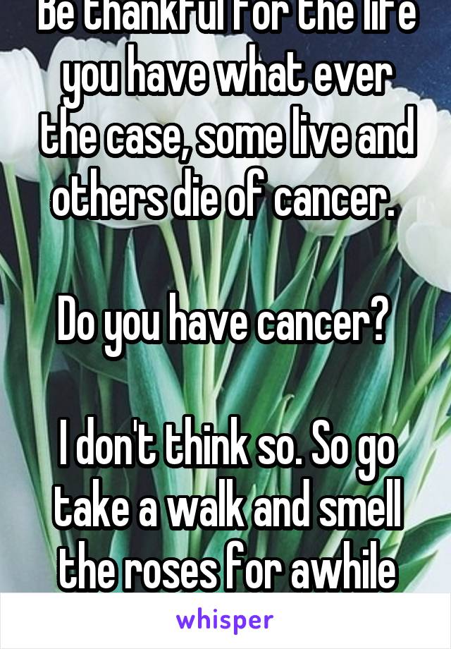 Be thankful for the life you have what ever the case, some live and others die of cancer. 

Do you have cancer? 

I don't think so. So go take a walk and smell the roses for awhile sweetheart