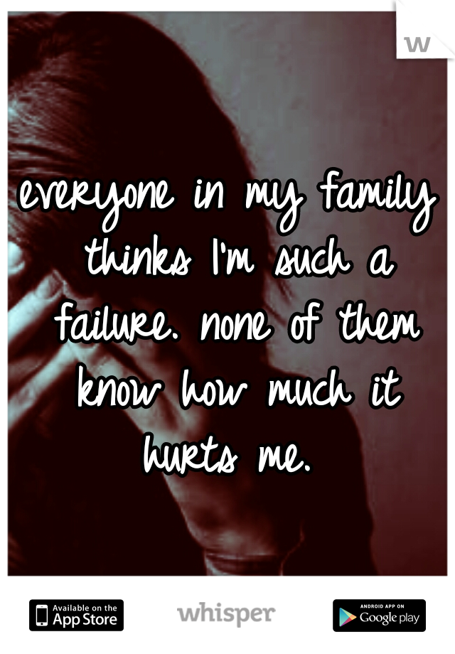 everyone in my family thinks I'm such a failure. none of them know how much it hurts me. 
