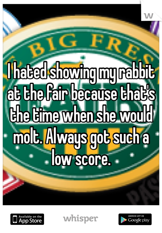 I hated showing my rabbit at the fair because that's the time when she would molt. Always got such a low score.