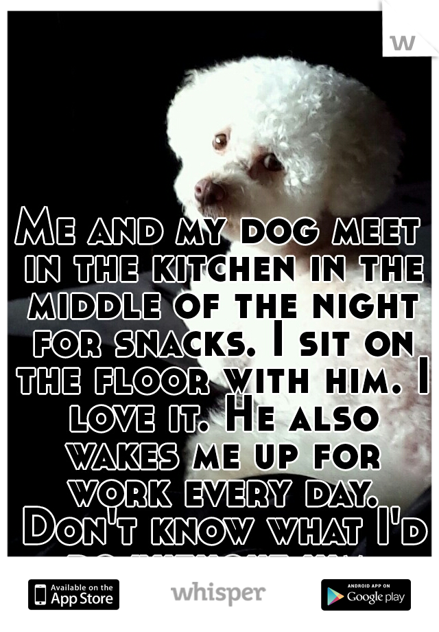 Me and my dog meet in the kitchen in the middle of the night for snacks. I sit on the floor with him. I love it. He also wakes me up for work every day. Don't know what I'd do without him.