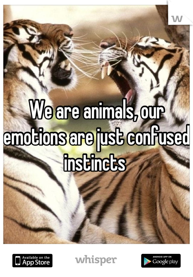 We are animals, our emotions are just confused instincts 