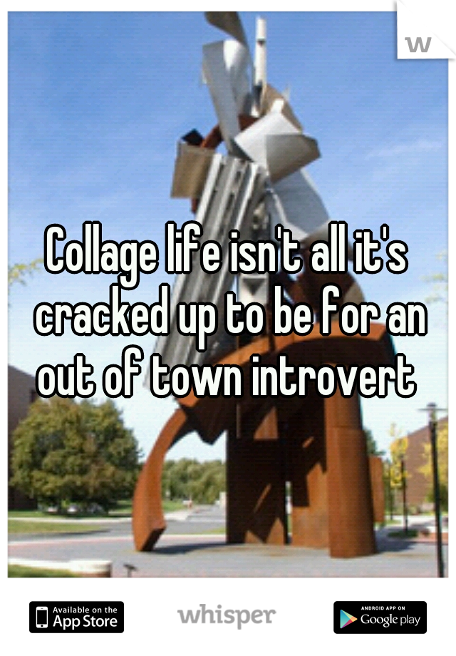 Collage life isn't all it's cracked up to be for an out of town introvert 