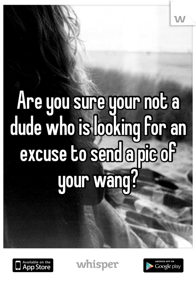 Are you sure your not a dude who is looking for an excuse to send a pic of your wang?