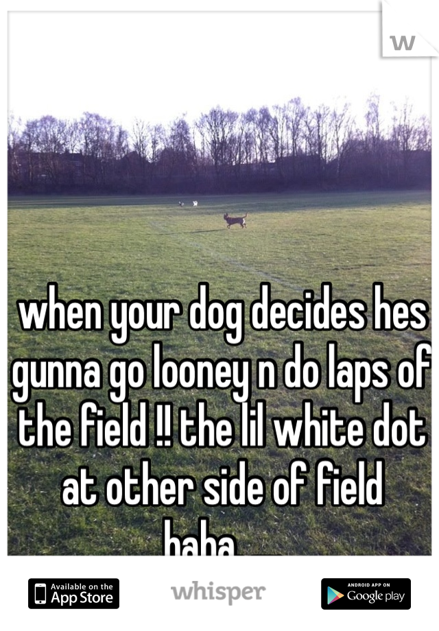 when your dog decides hes gunna go looney n do laps of the field !! the lil white dot at other side of field haha. ....