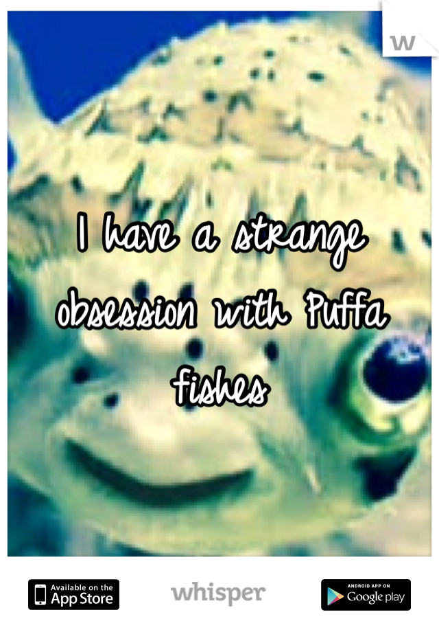 I have a strange obsession with Puffa fishes 