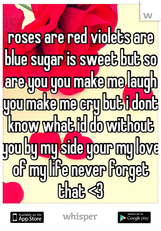 roses are red violets are blue sugar is sweet but so are you you make me laugh you make me cry but i dont know what id do without you by my side your my love of my life never forget that <3
