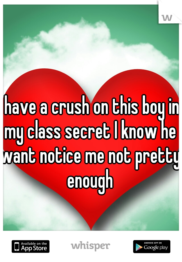 I have a crush on this boy in my class secret I know he want notice me not pretty enough
