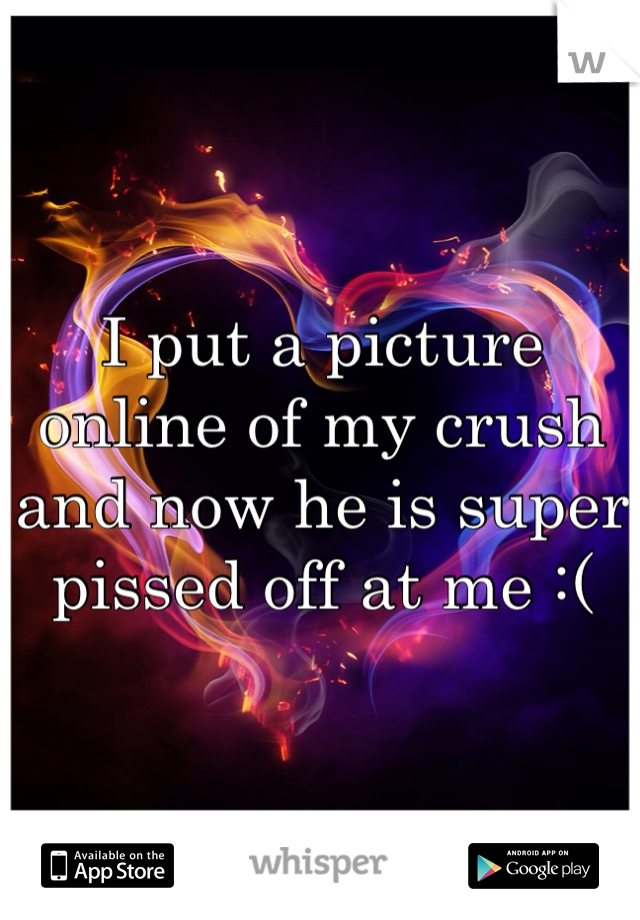 I put a picture online of my crush and now he is super pissed off at me :(
