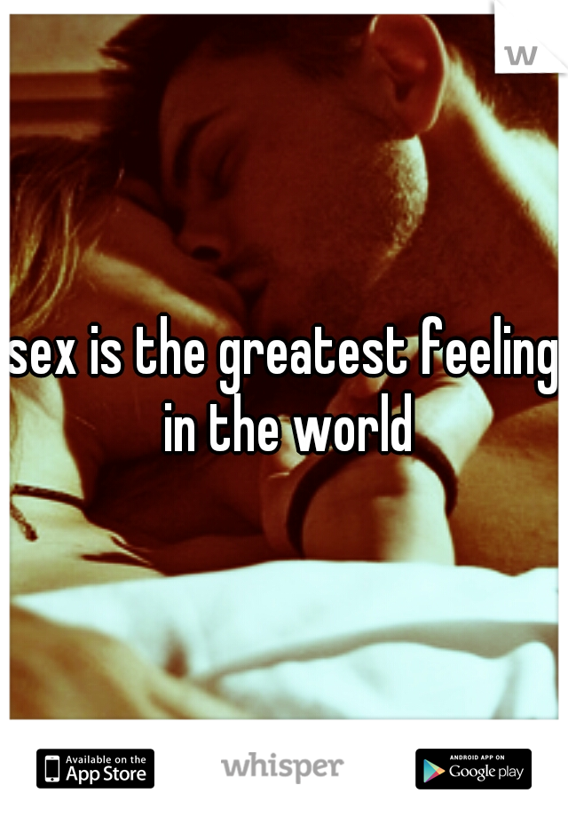 sex is the greatest feeling in the world