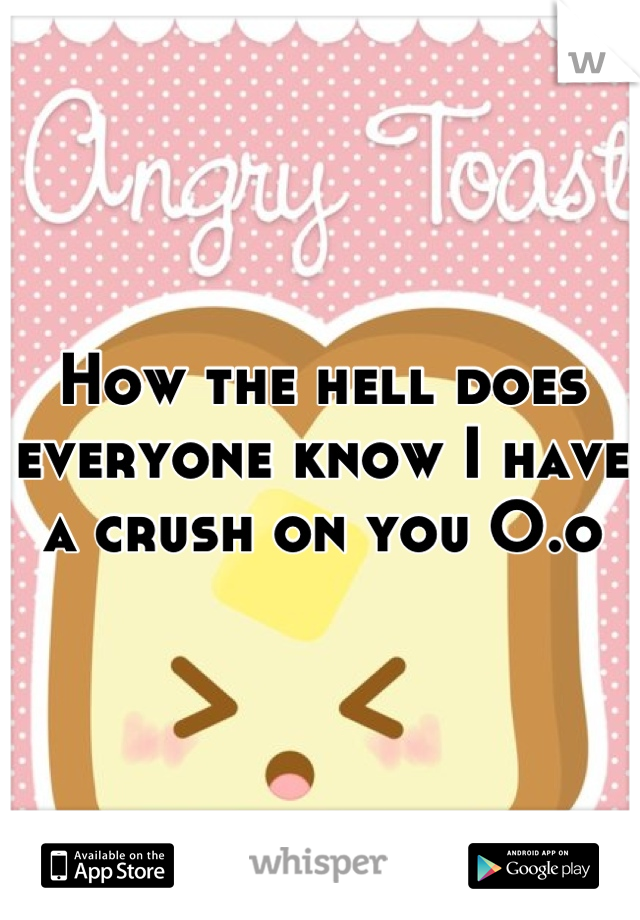 How the hell does everyone know I have a crush on you O.o