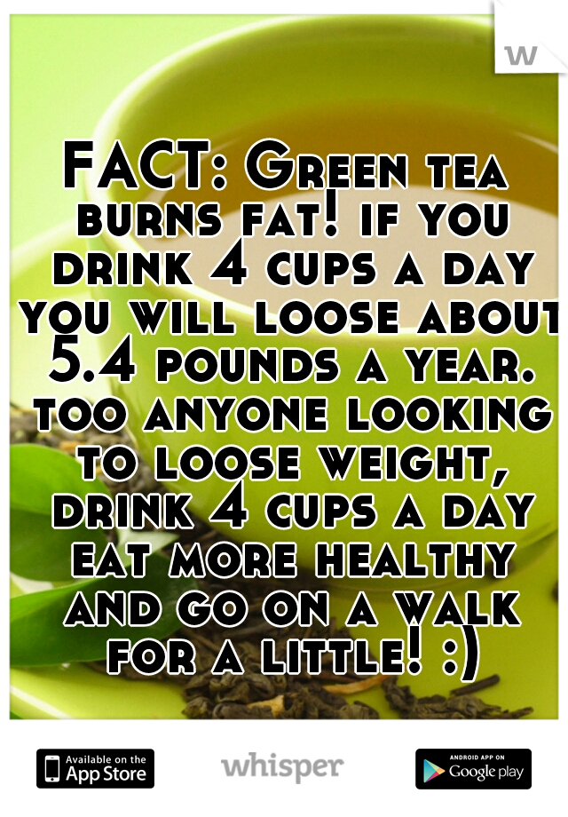 FACT: Green tea burns fat! if you drink 4 cups a day you will loose about 5.4 pounds a year. too anyone looking to loose weight, drink 4 cups a day eat more healthy and go on a walk for a little! :)