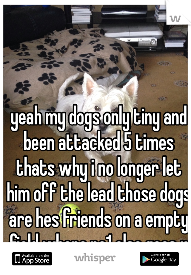yeah my dogs only tiny and been attacked 5 times thats why i no longer let him off the lead those dogs are hes friends on a empty field where no1 else goes x