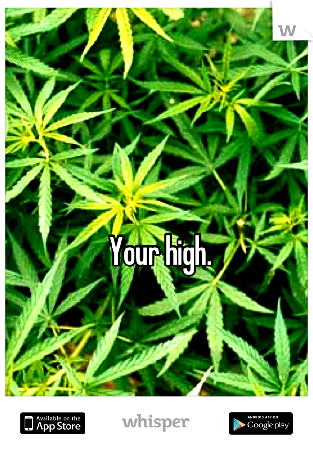 Your high.