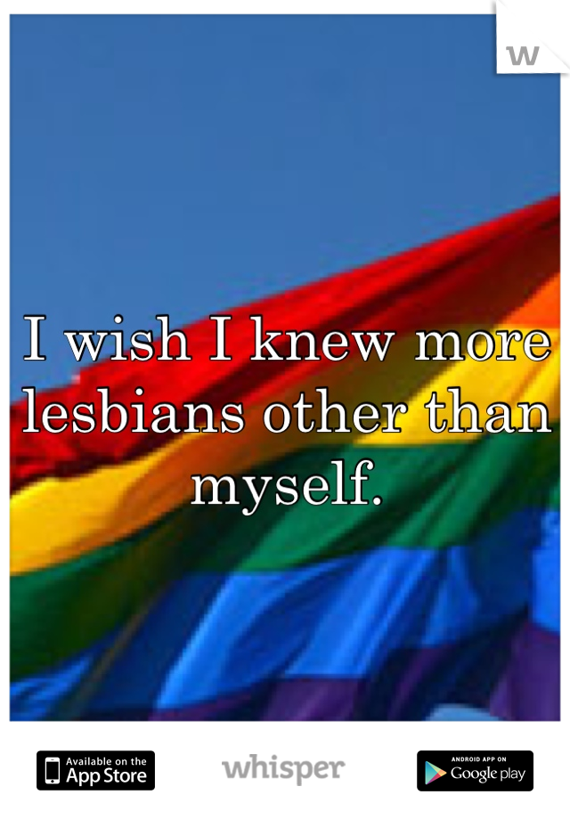I wish I knew more lesbians other than myself.