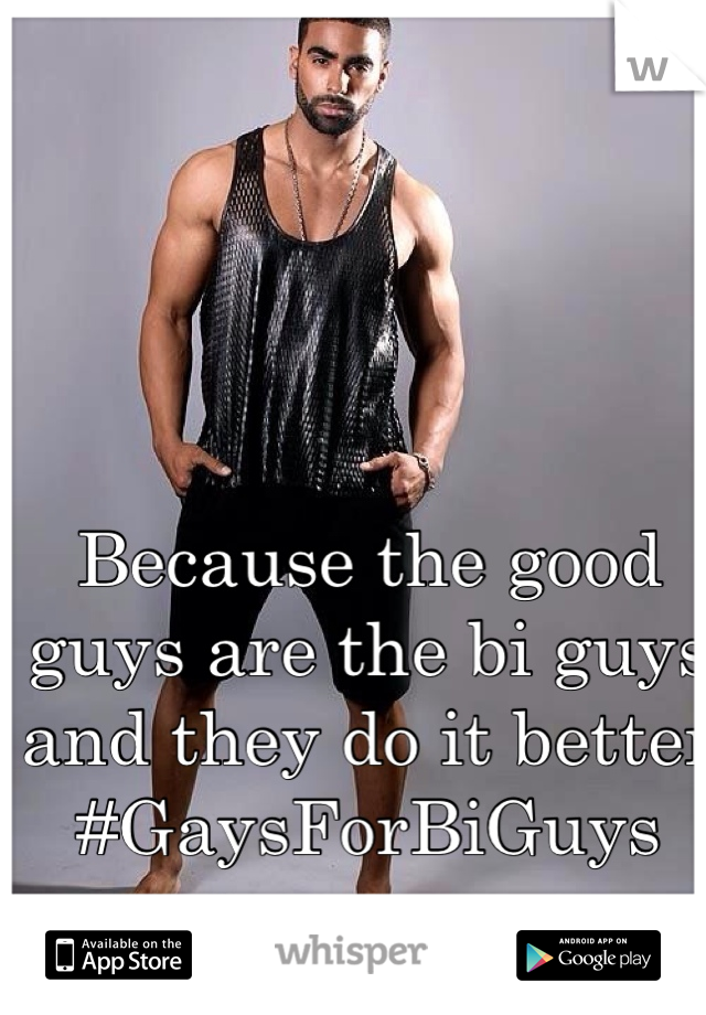 Because the good guys are the bi guys and they do it better #GaysForBiGuys