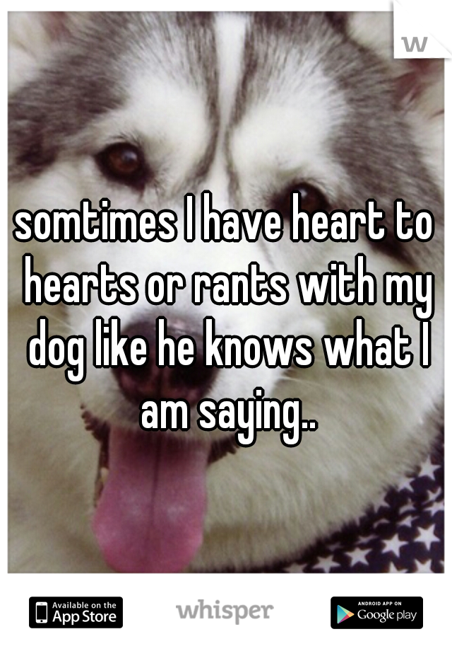 somtimes I have heart to hearts or rants with my dog like he knows what I am saying..