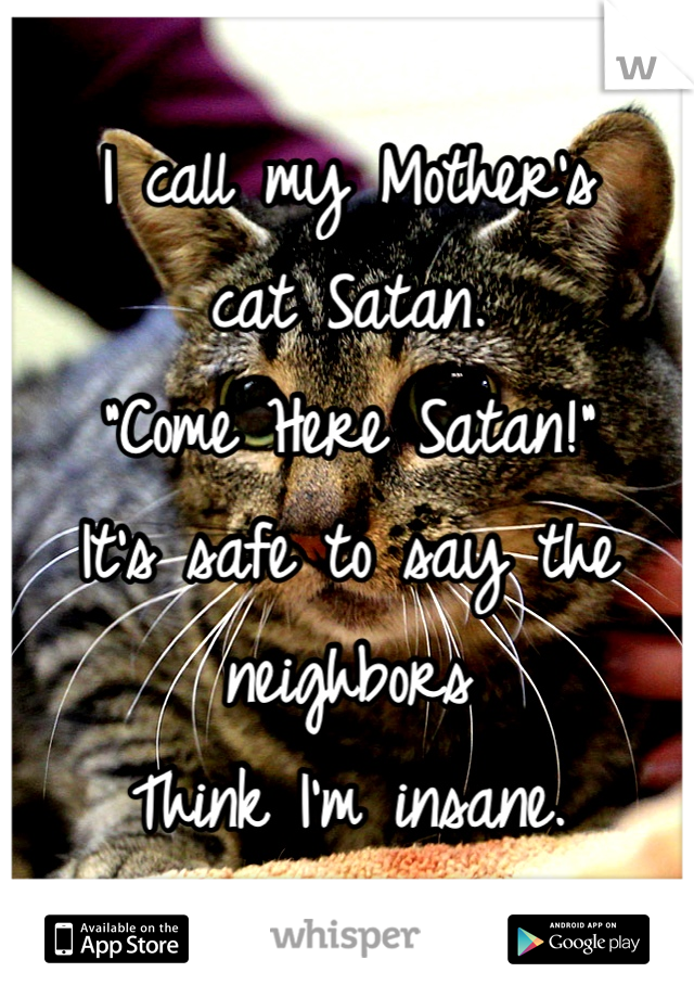 I call my Mother's 
cat Satan.
"Come Here Satan!" 
It's safe to say the neighbors 
Think I'm insane.