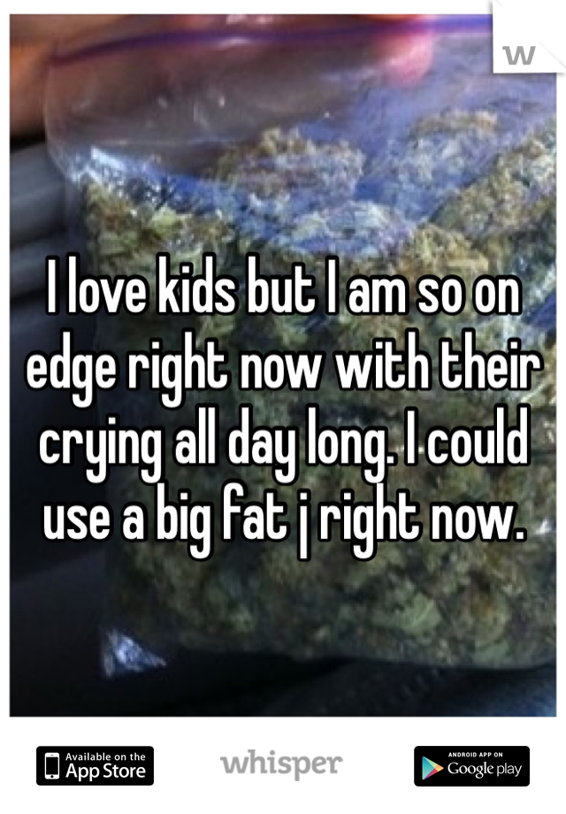 I love kids but I am so on edge right now with their crying all day long. I could use a big fat j right now. 