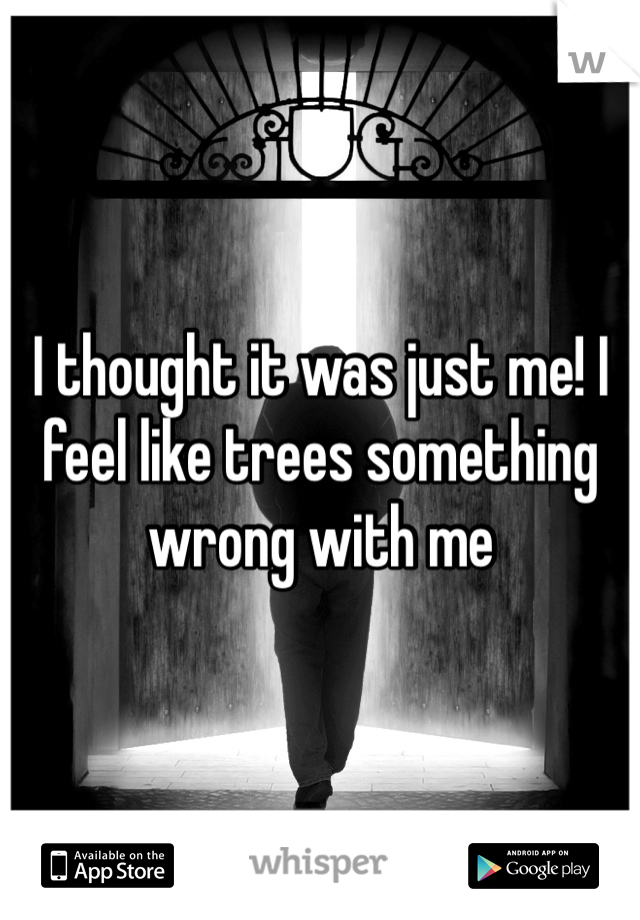 I thought it was just me! I feel like trees something wrong with me