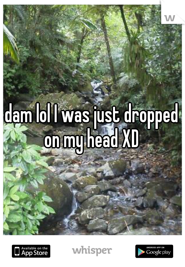 dam lol I was just dropped on my head XD 