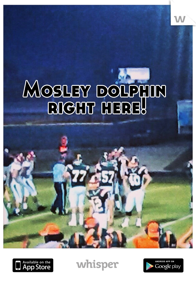 Mosley dolphin right here!