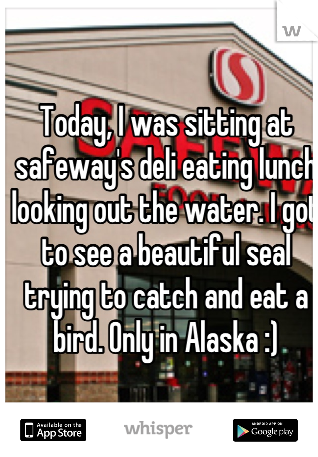 Today, I was sitting at safeway's deli eating lunch looking out the water. I got to see a beautiful seal trying to catch and eat a bird. Only in Alaska :)