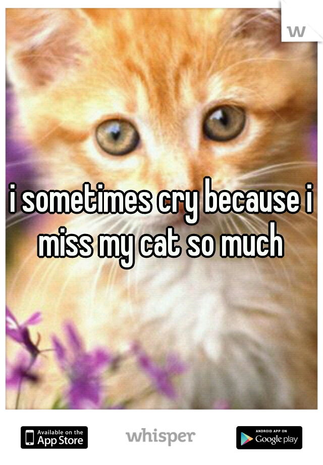 i sometimes cry because i miss my cat so much 