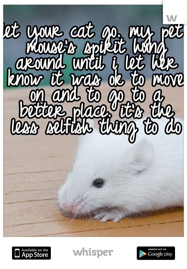 let your cat go. my pet mouse's spirit hung around until i let her know it was ok to move on and to go to a better place. it's the less selfish thing to do