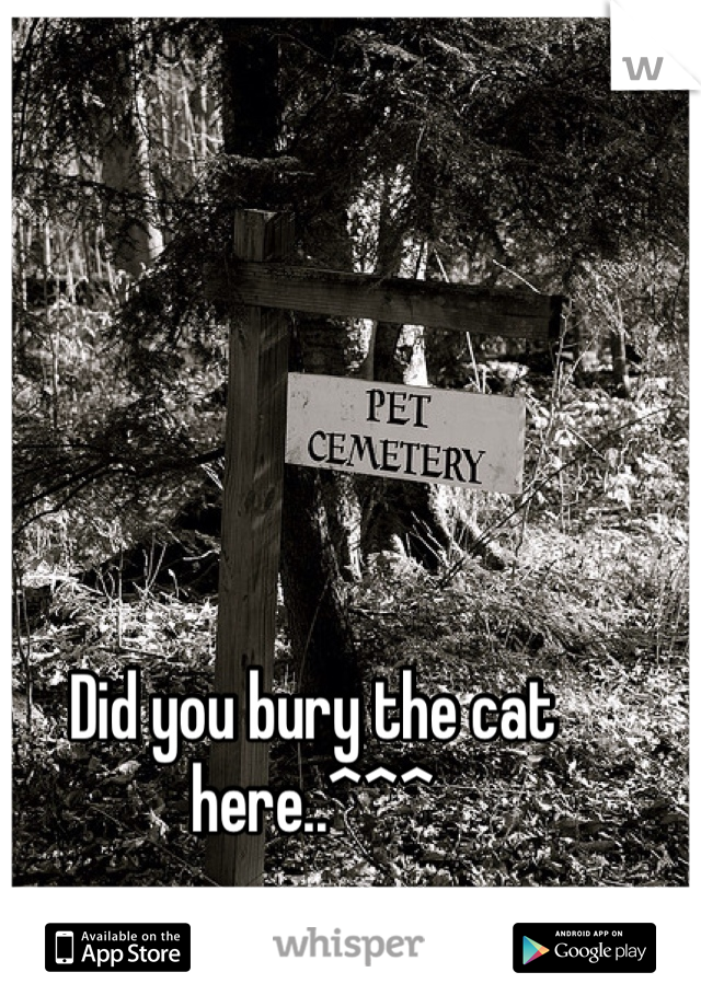 Did you bury the cat here..^^^
