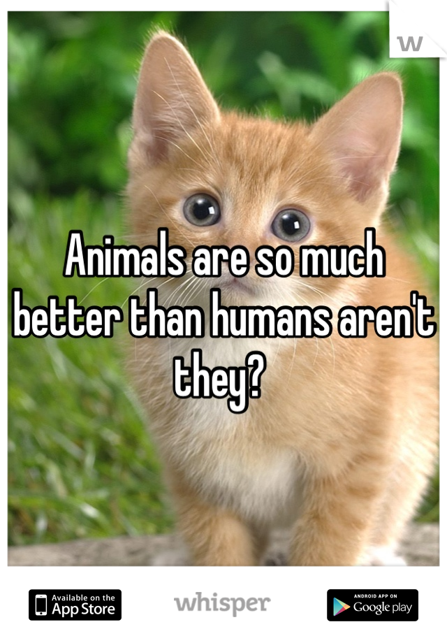 Animals are so much better than humans aren't they?