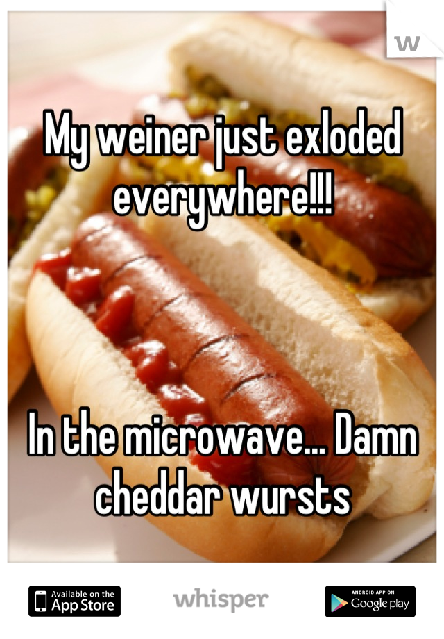 My weiner just exloded everywhere!!!



In the microwave... Damn cheddar wursts