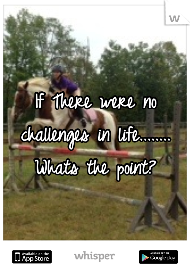 If There were no challenges in life........ Whats the point?