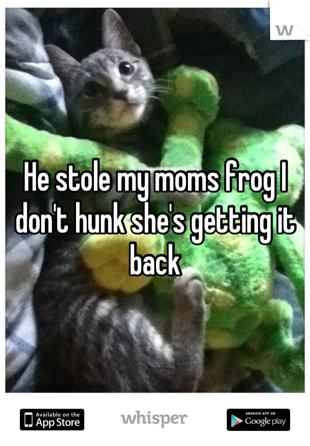 He stole my moms frog I don't hunk she's getting it back