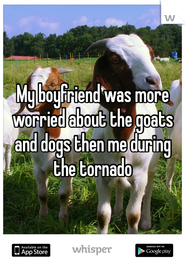 My boyfriend was more worried about the goats and dogs then me during the tornado