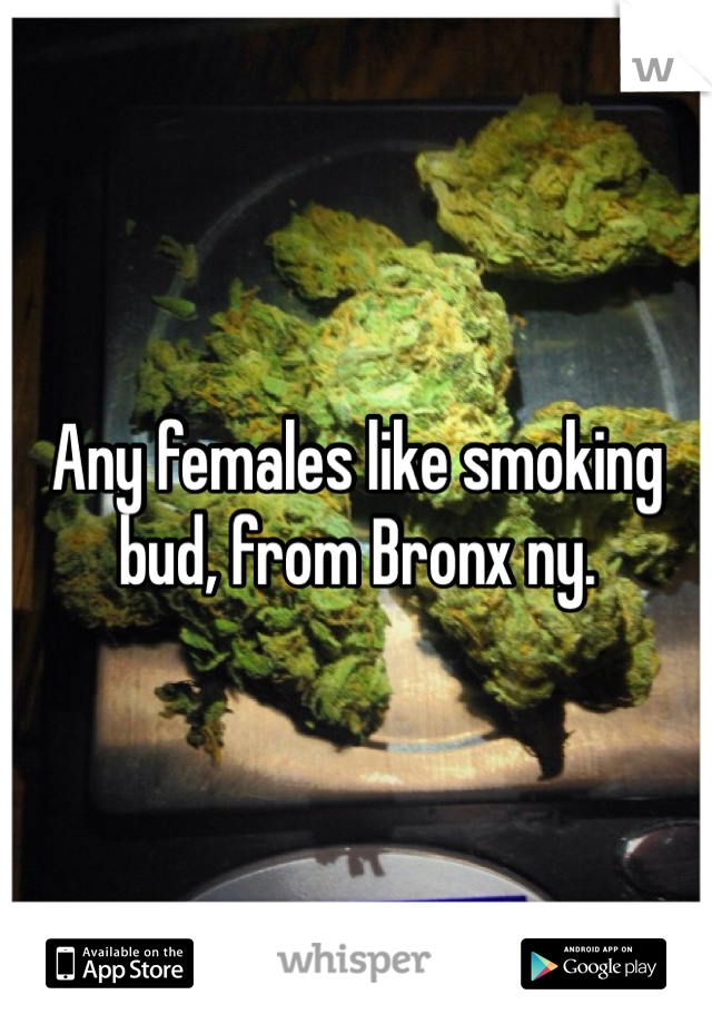 Any females like smoking bud, from Bronx ny.