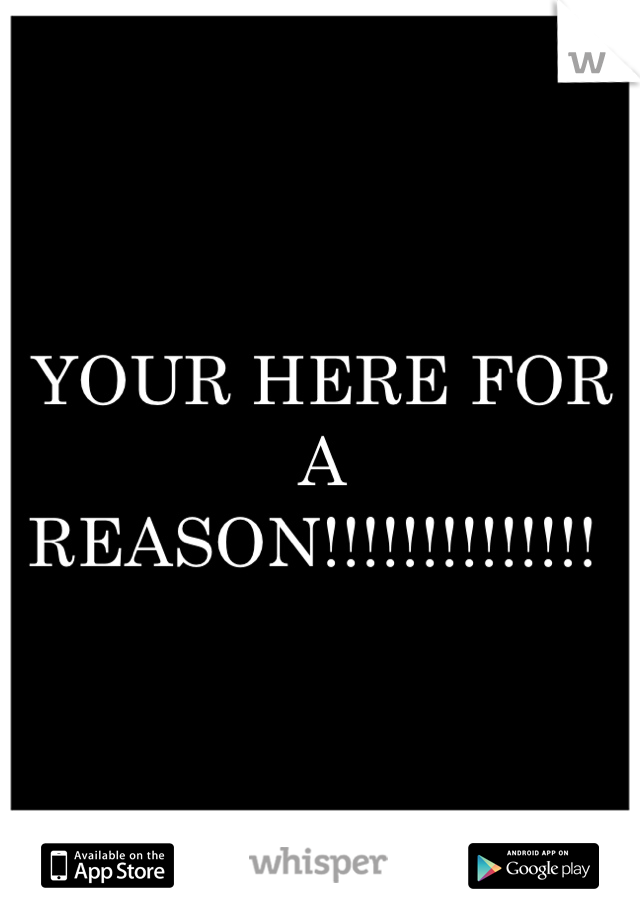 YOUR HERE FOR A REASON!!!!!!!!!!!!!! 