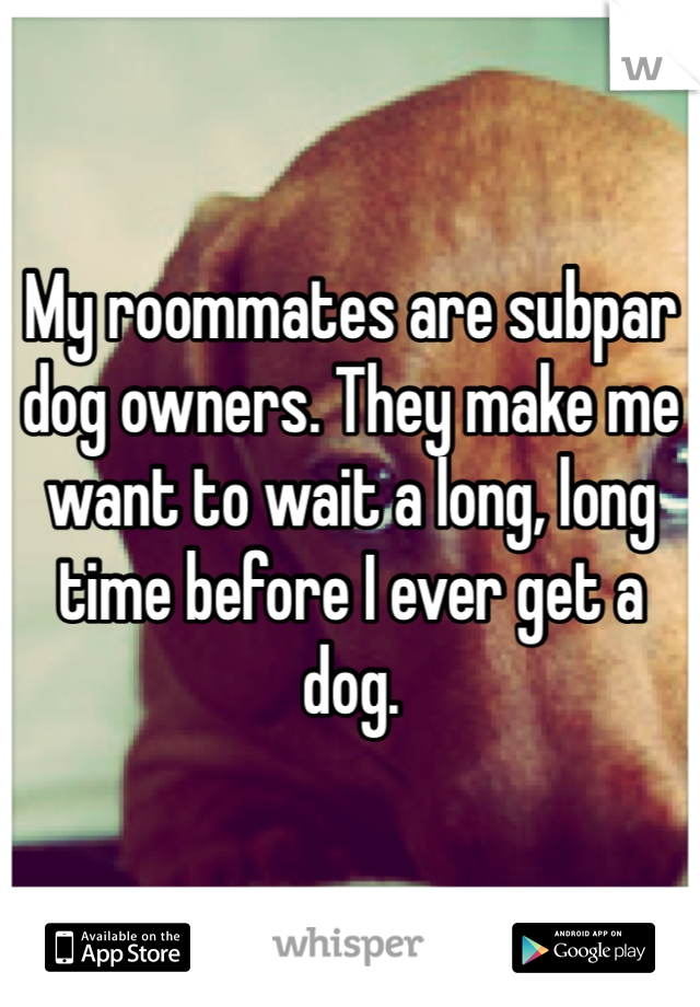 My roommates are subpar dog owners. They make me want to wait a long, long time before I ever get a dog.
