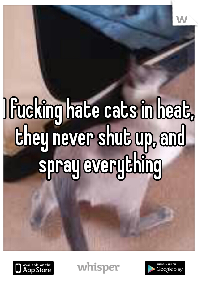 I fucking hate cats in heat, they never shut up, and spray everything