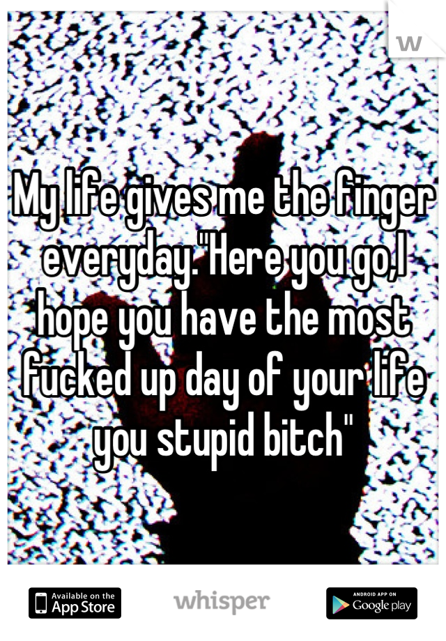 My life gives me the finger everyday."Here you go,I hope you have the most fucked up day of your life you stupid bitch"