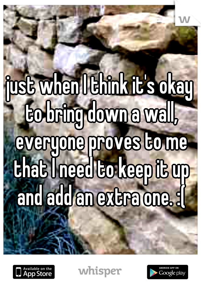 just when I think it's okay to bring down a wall, everyone proves to me that I need to keep it up and add an extra one. :(