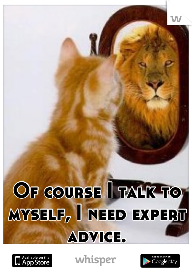 Of course I talk to myself, I need expert advice.