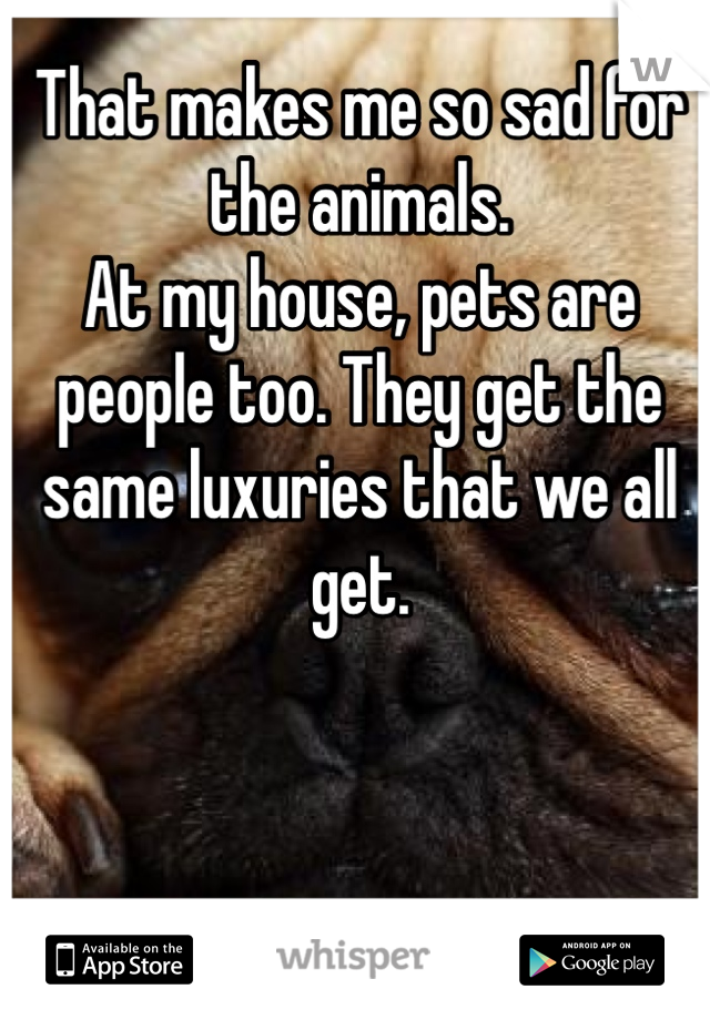 That makes me so sad for the animals. 
At my house, pets are people too. They get the same luxuries that we all get. 