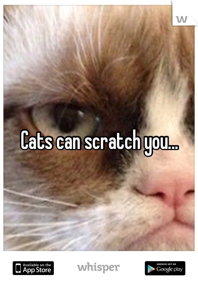 Cats can scratch you...
