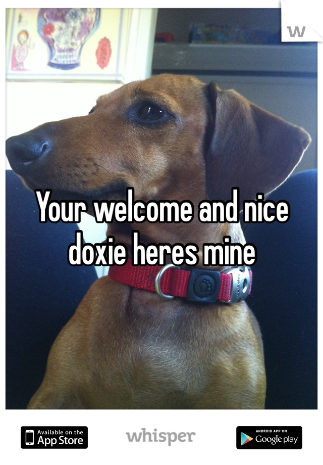 Your welcome and nice doxie heres mine